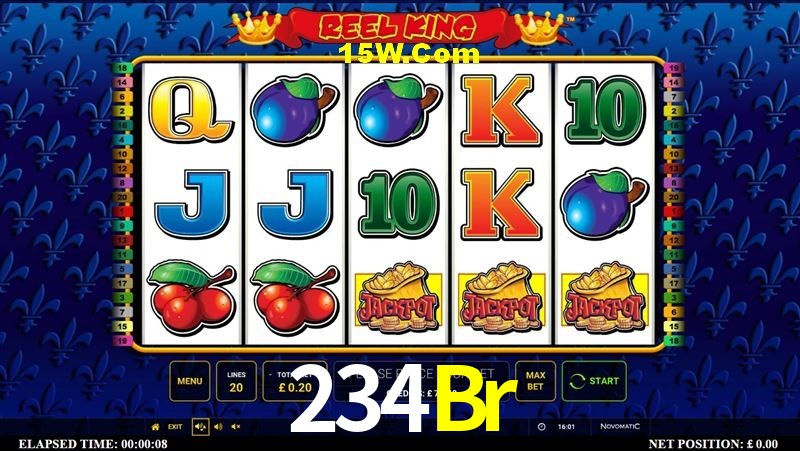 Experiência VIP 234Br